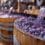 productie vin primitivo di manduria
