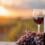 vin tenuta ulisse